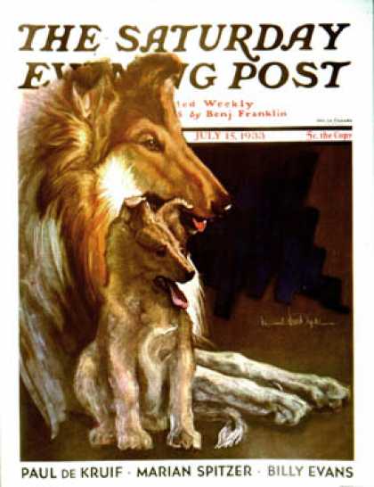 Saturday Evening Post - 1933-07-15: Mother Collie and Pup (Howard Van Dyck)
