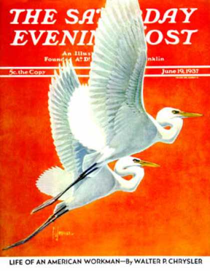 Saturday Evening Post - 1937-06-19: Flying Storks (Francis Lee Jaques)