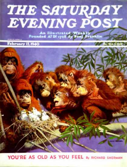 Saturday Evening Post - 1940-02-17: Orangutans & Bird Nest (Julius Moessel)