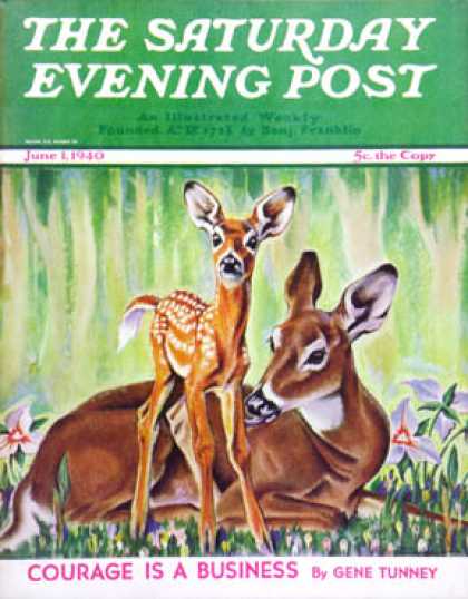 Saturday Evening Post - 1940-06-01: Doe and Fawn in Forest (Paul Bransom)