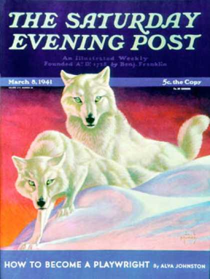 Saturday Evening Post - 1941-03-08: White Wolves (Jack Murray)