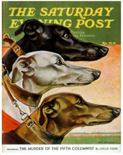 Saturday Evening Post - 1941-03-29: Greyhounds (Paul Bransom)