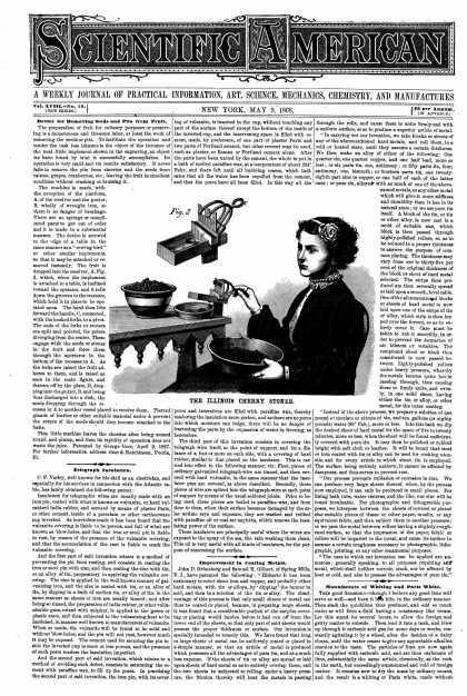 Scientific American - May 19, 1868 (vol. 18, #19)