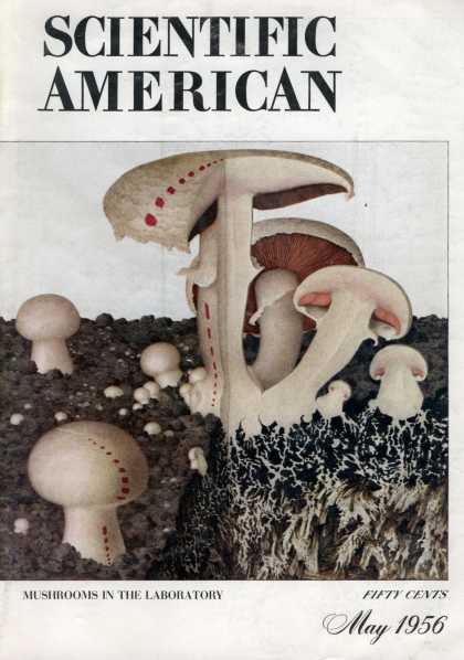 Scientific American - May 1956
