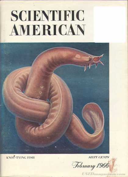 Scientific American - February 1966