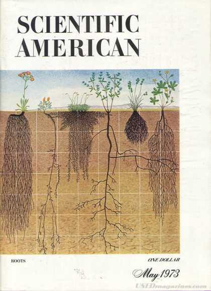 Scientific American - May 1973