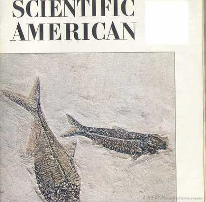 Scientific American - September 1978
