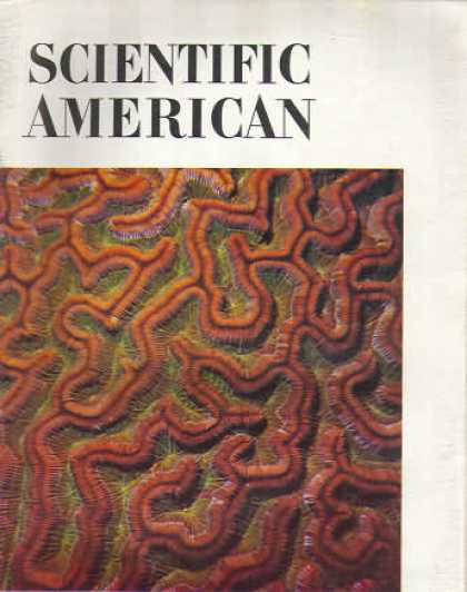 Scientific American - August 1979