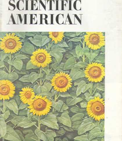 Scientific American - May 1981