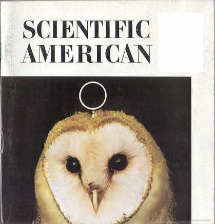Scientific American - December 1981