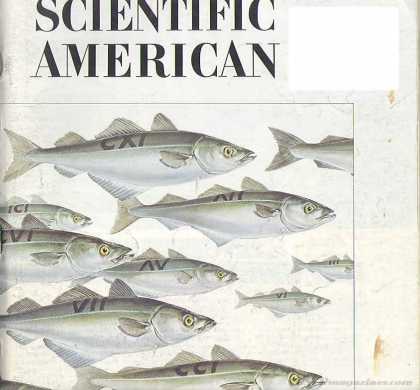 Scientific American - June 1982