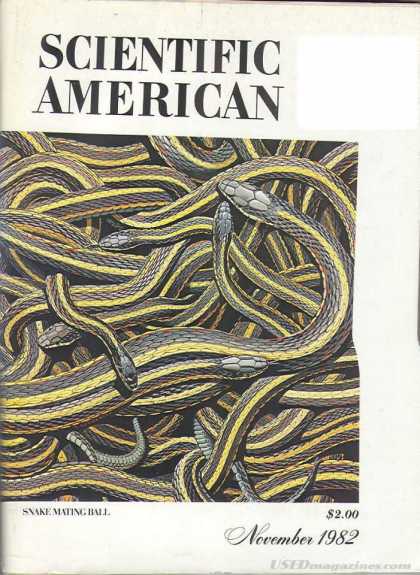 Scientific American - November 1982