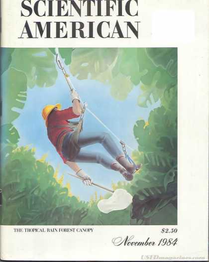Scientific American - November 1984