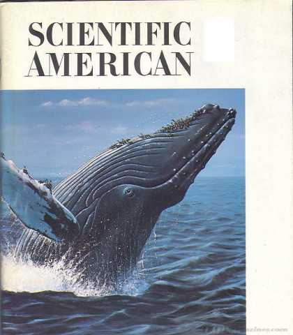Scientific American - March 1985