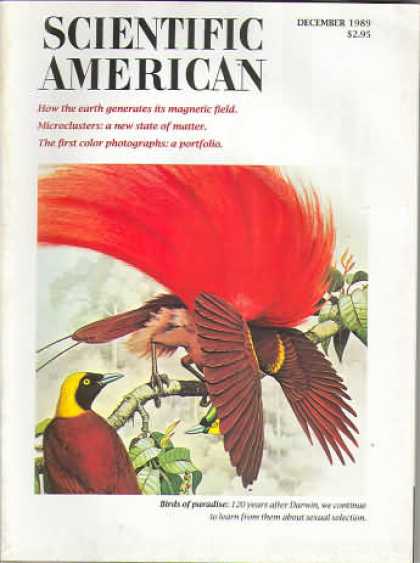Scientific American - December 1989