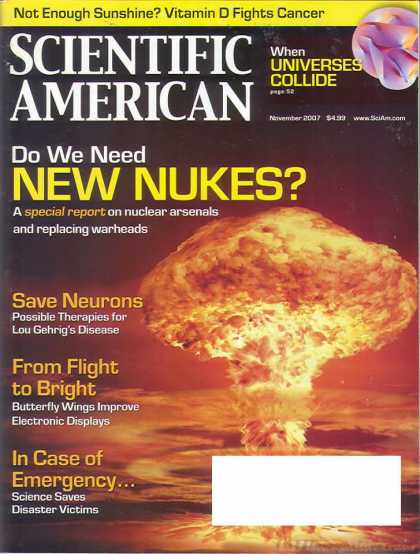 Scientific American - November 2007