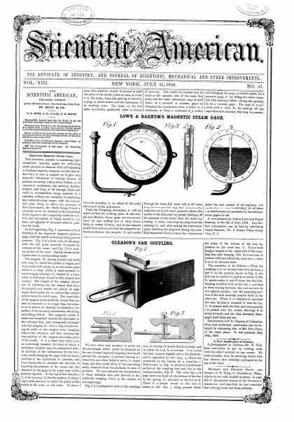 Scientific American - July 31, 1858 (vol. 13, #47)