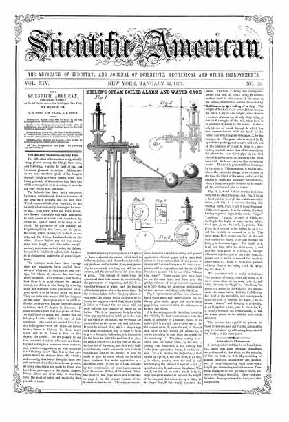 Scientific American - Jan 22, 1859 (vol. 14, #20)