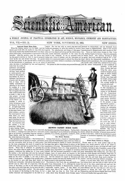 Scientific American - Nov 22, 1862 (vol. 7, #21)