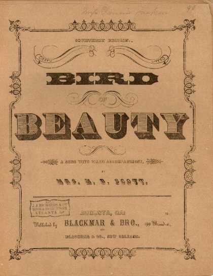 Sheet Music - Bird of beauty