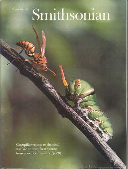 Smithsonian - November 1977