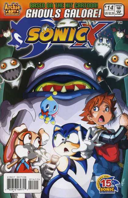 Sonic X 14