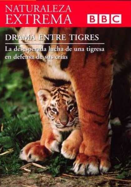 Spanish DVDs - Bbc Extreme Nature Volume 5