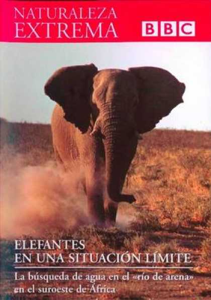 Spanish DVDs - Extreme Nature Vol 6