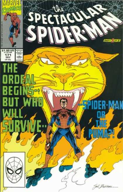 Marvel Comics - Web - Superhero - Puma - Fire - Sal Buscema Spectacular Spider-Man (1976) 171 - Marvel Comics - Web - Superhero - Puma - Fire - Sal Buscema