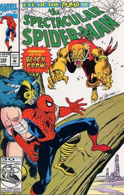 Spectacular Spider-Man (1976) 192 - Spiderman - Web - Have No Fear Spiderman Is Here - Attack - Protection - Sal Buscema