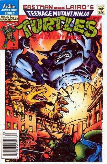 Teenage Mutant Ninja Turtles Adventures 2 30