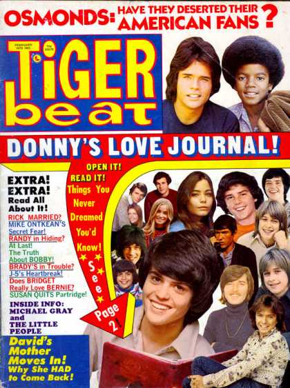 Tiger Beat - 2/1973