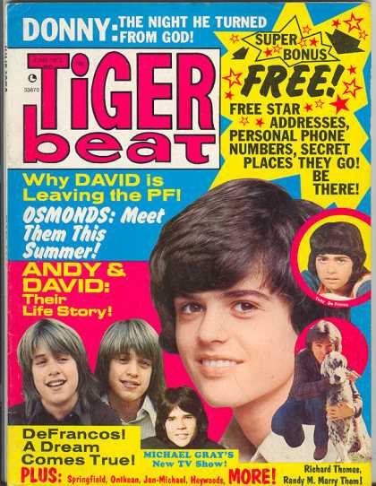 Tiger Beat - 6/1973