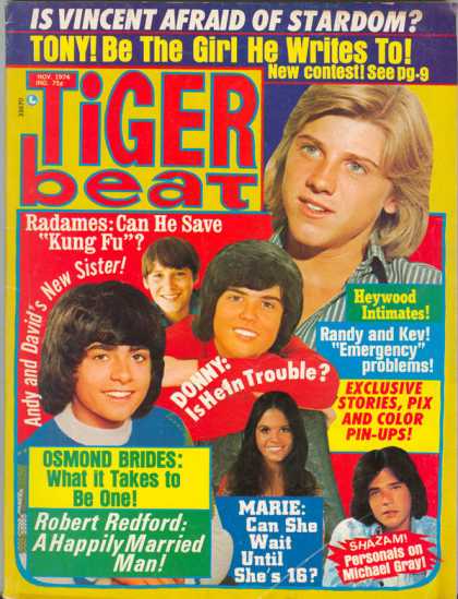 Tiger Beat - 11/1974