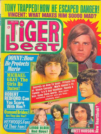 Tiger Beat - 12/1974