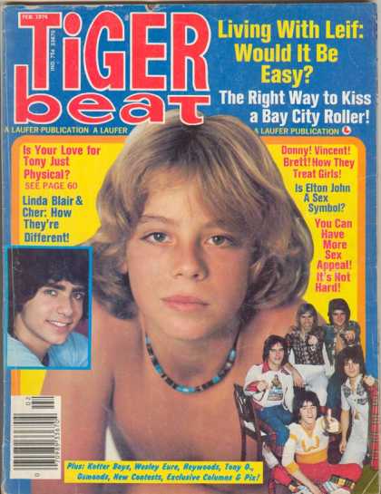 Tiger Beat - 2/1976