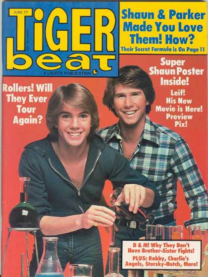 Tiger Beat - 6/1977