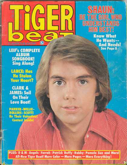 Tiger Beat - 2/1978