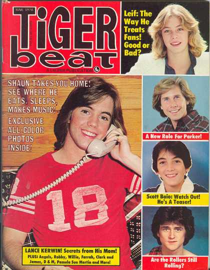 Tiger Beat - 3/1978