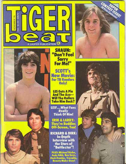 Tiger Beat - 11/1978