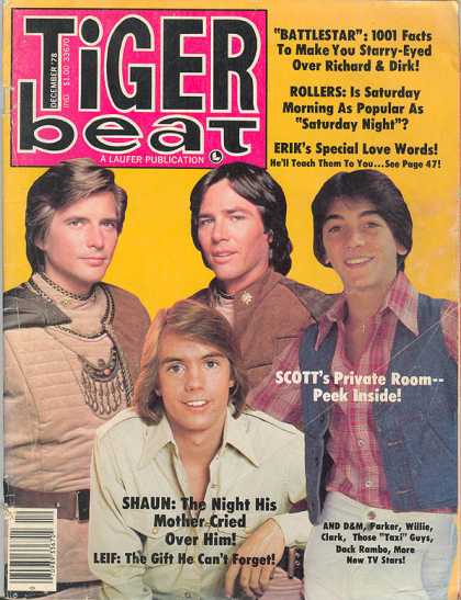 Tiger Beat - 12/1978