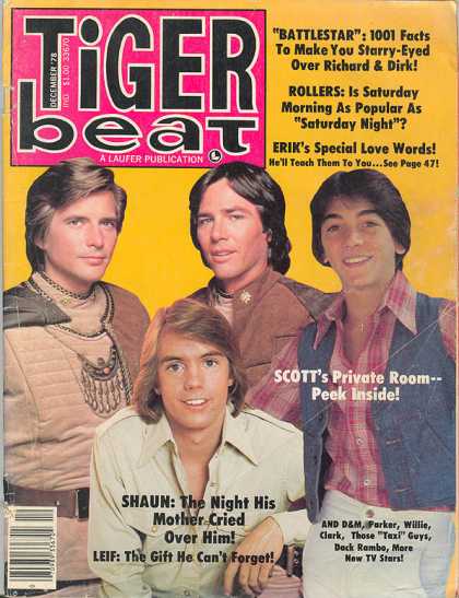 Tiger Beat - 12/1978