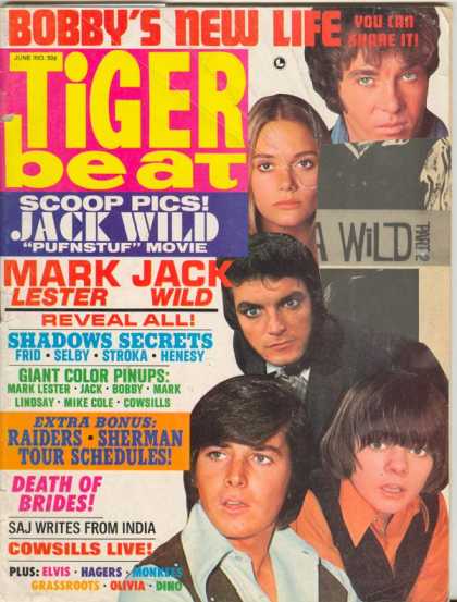 Tiger Beat - 6/1970