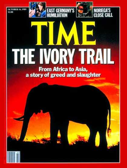 Time - The Elephant - Oct. 16, 1989 - Wildlife - Animals - Environment