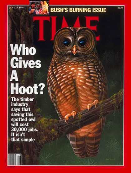 Time - The Spotted Owl - June 25, 1990 - Wildlife - Animals - Environment - Politics