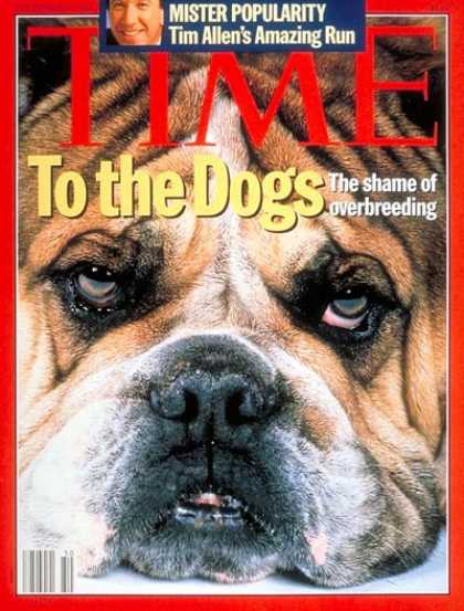 Time - The Dangers of Overbreeding Dogs - Dec. 12, 1994 - Dogs - Animals