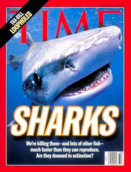 Time - Sharks - Aug. 11, 1997 - Fish - Animals