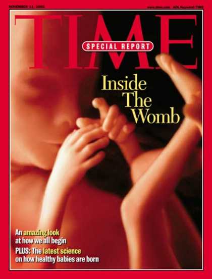 Time - Inside the Womb - Nov. 11, 2002 - Children - Women - Health & Medicine