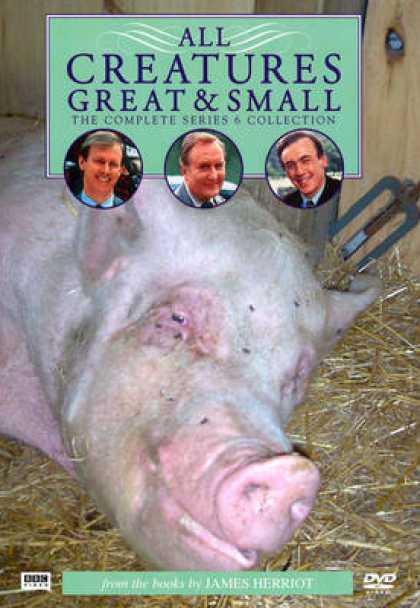 TV Series - All Creatures Great And Small