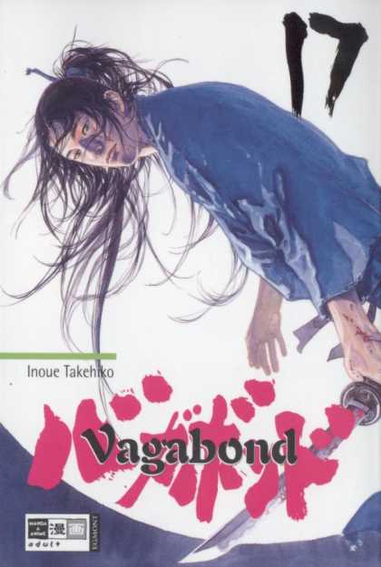 Vagabond 17